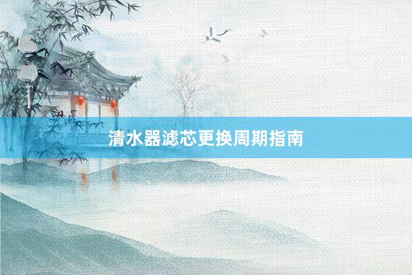 清水器滤芯更换周期指南