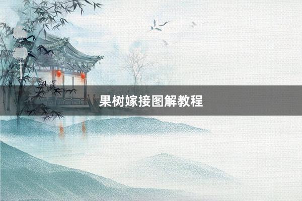 果树嫁接图解教程